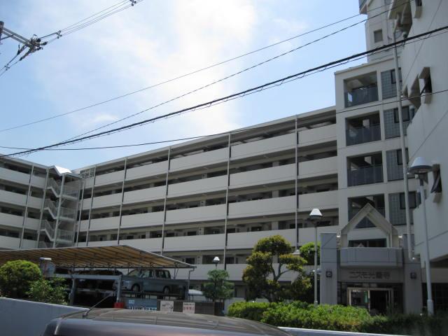 �R�X�����P��